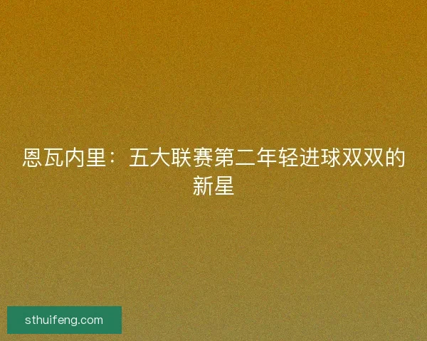 恩瓦内里：五大联赛第二年轻进球双双的新星