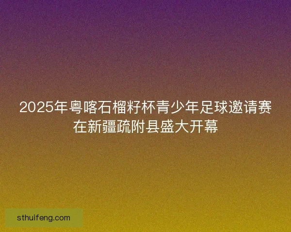 2025年粤喀石榴籽杯青少年足球邀请赛在新疆疏附县盛大开幕